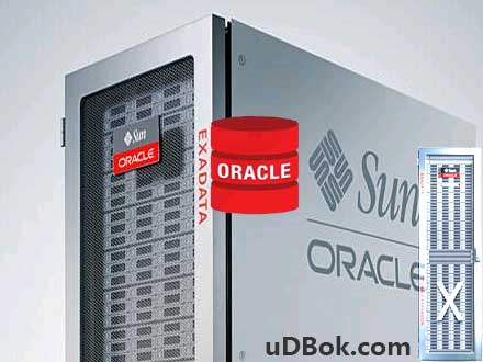 ORACLE数据库运维服务