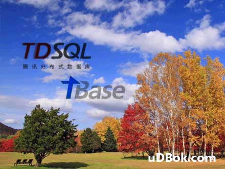 TDSQL运维服务